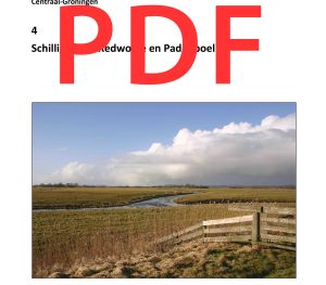 4 Schilligeham, Redwolde en Paddepoel (PDF)