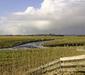 4	Schilligeham, Redwolde en Paddepoel 