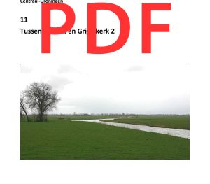 11 Tussen Aduard en Grijpskerk 2