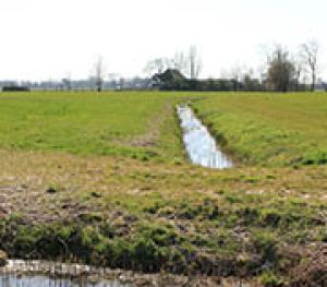 11.7	Een laatste beetje Drents water 