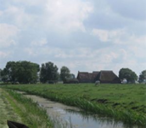 Het Woldland in de Middeleeuwen en de strijd om Winsum in 1581