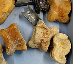 Stuk van de maand mei