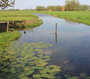 11.4	De Pompelanden en Ypegat 