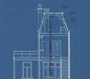 Workshop Pandenonderzoek geeft geheimen prijs