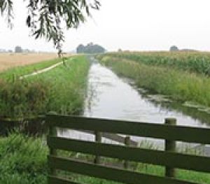 8.2 		Noorddijk, Wetsingerzijl en Westerdijk