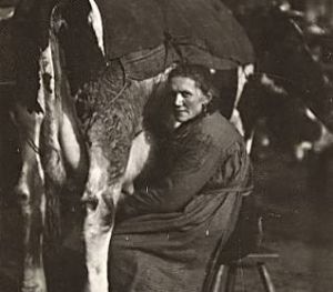 Impressies Veemarkt 1969