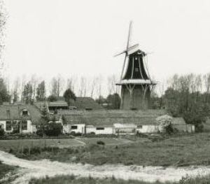 Molenweekend ‘Wilhelmina’