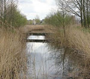 11.5	Alles naar Niezijl