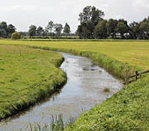 11	Tussen Aduard en Grijpskerk 2 