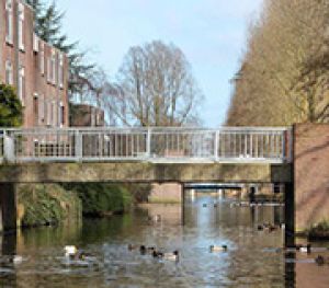 Beijum - van grensgeval tot bloemkoolwijk