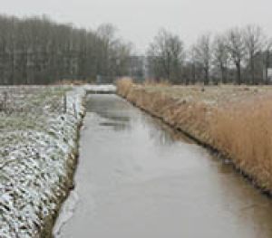 8.4	 	Selwerd en Paddepoel