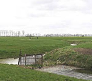 5.3 	Eerste ingrepen 