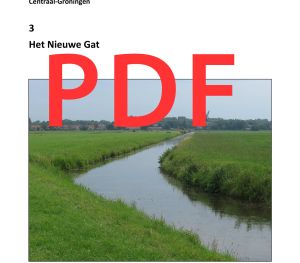3 Het Nieuwe Gat (PDF)