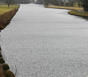 5	Tussen Aduard en Drentse A 