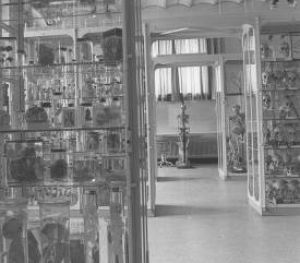 Gesloopte Anatomisch Museum