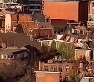 Stainpoest op de kont van Grunn