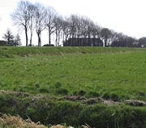 7.1	Middelbert en Engelbert (1370)