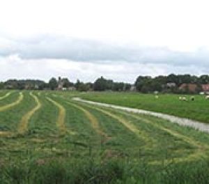 9.2 		Kleisloot, ‘Nye Graft’ en Boterdiep