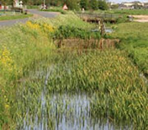 11.6	Een grondvaste landdijk