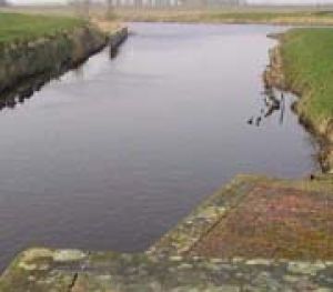 Aduarderdiep en Aduarderzijl(en) PDF