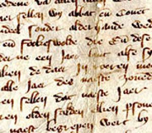 6.4 	De zijlbrief van het Aduarderzijlvest (1382)