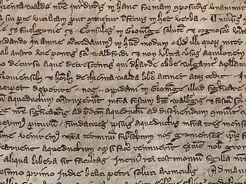 Vraag 10: Waarom twee oorkonden voor dezelfde zaak ?